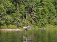 img_5019.jpg